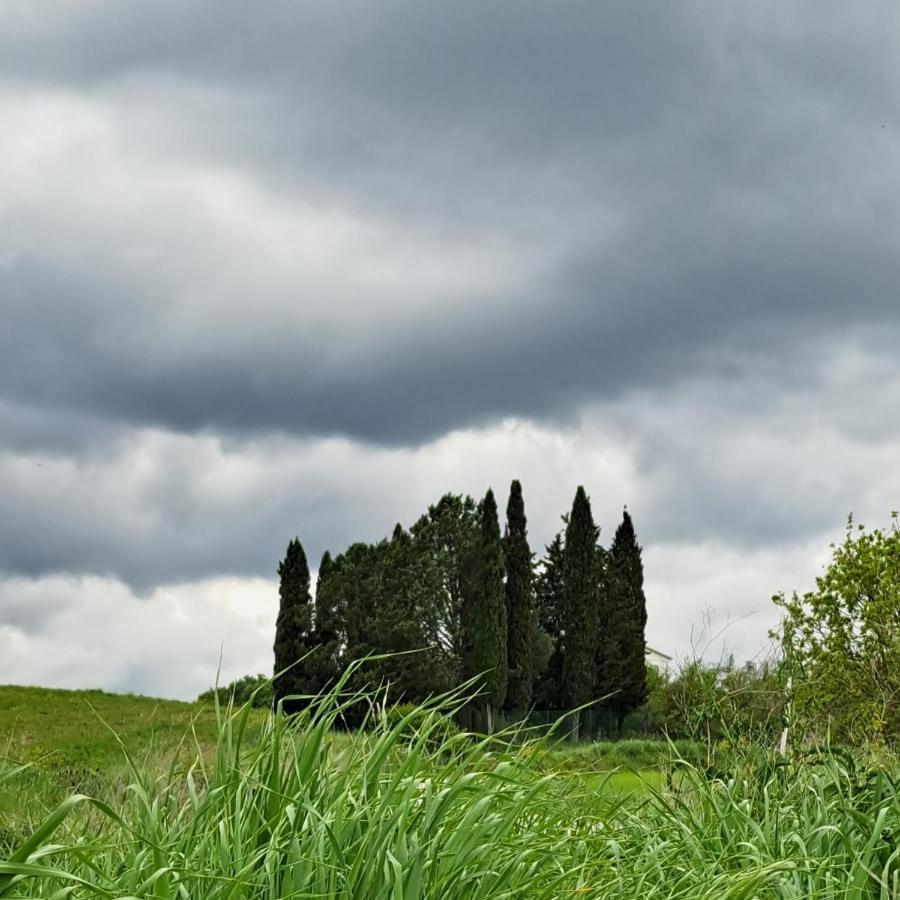 Affittacamere Albafiorita Castiglione dʼOrcia Exterior foto