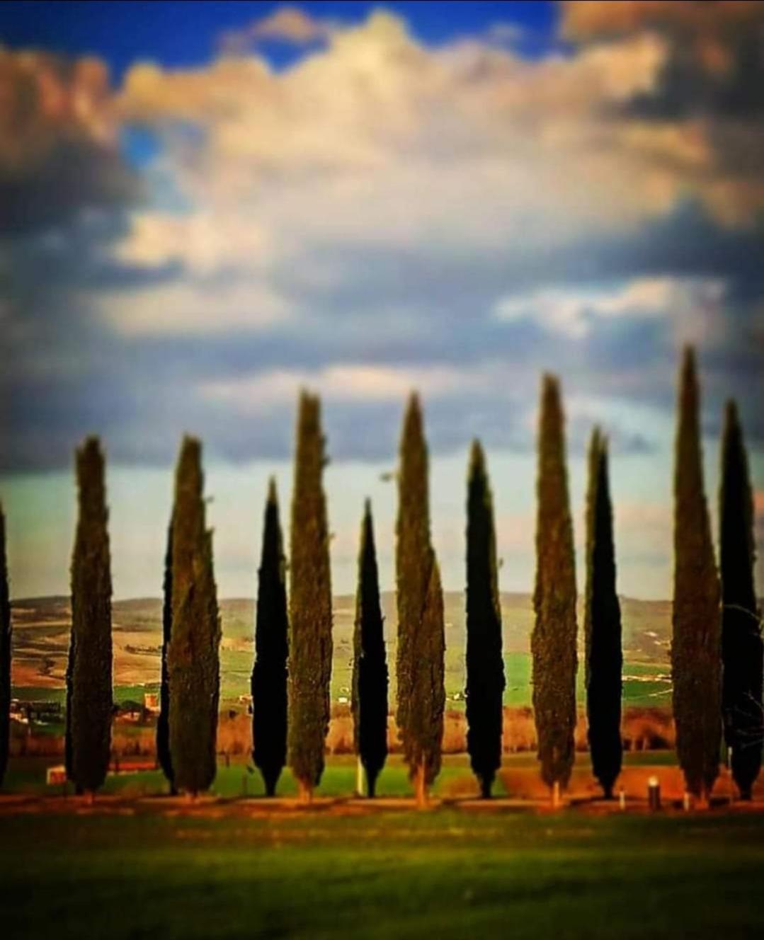 Affittacamere Albafiorita Castiglione dʼOrcia Exterior foto